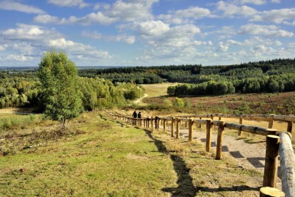 Chalet Veluwe Wageningen Villa Eksteriør bilde