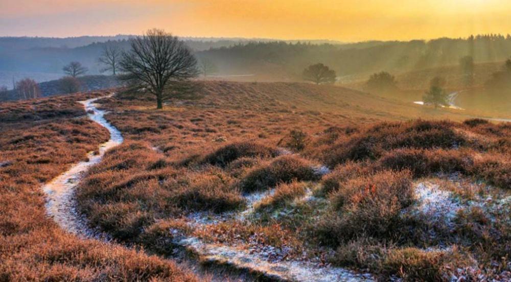 Chalet Veluwe Wageningen Villa Eksteriør bilde